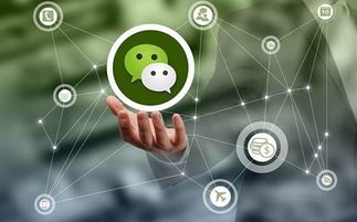 微信社群商業(yè)模式網(wǎng)絡(luò)營銷思路